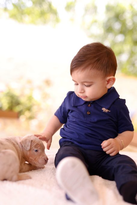 Little Boy