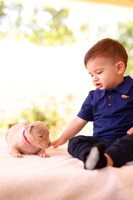 Little Boy